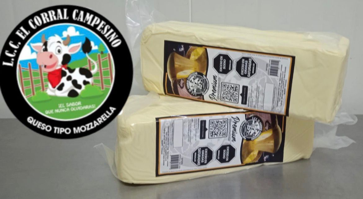 Queso Mozzarella Línea Industrial